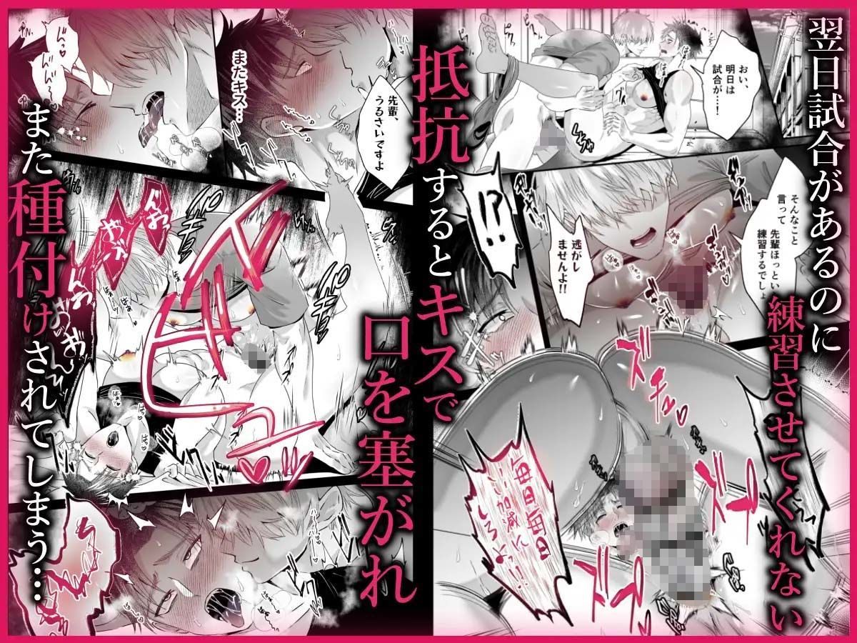 強がりエースのメス顔は俺だけが知っている 立ち読み 6 / 7