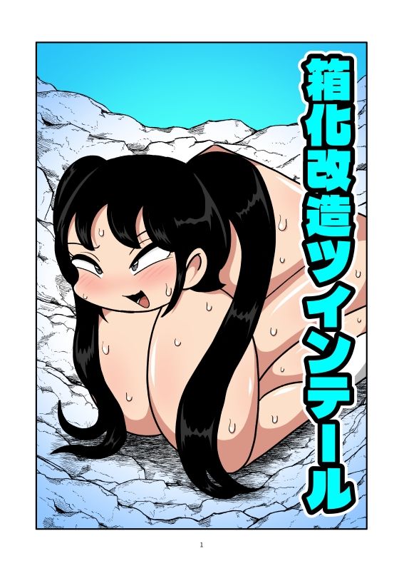 箱化改造ツインテールのサンプル画像 1