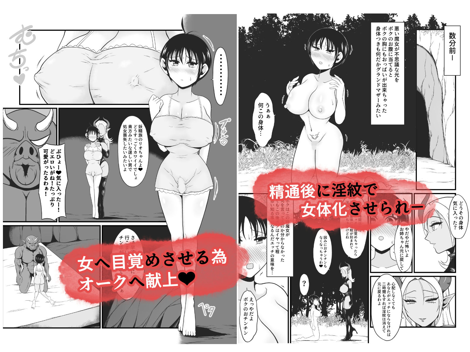 【TS悪堕ち】妖精のボクがオークのデカマラチンポに敗けてエッチな淫魔娘になっちゃうお話の画像4