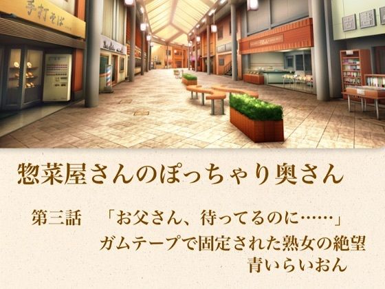 【官能小説】惣菜屋さんのぽっちゃり奥さん  第三話  「お父さん、待ってるのに……」ガムテープで固定された熟女の絶望の商品画像