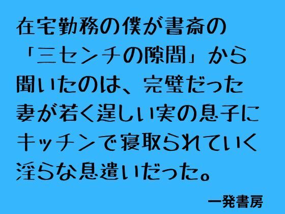 在宅勤務の僕が書斎の「三センチの隙間」から聞いたのは、完璧だった妻が若く逞しい実の息子にキッチンで寝取られていく淫らな息遣いだった。の商品画像
