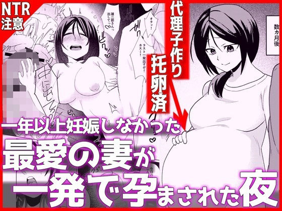 1年以上妊娠しなかった最愛の妻が一発で孕まされた夜の商品画像