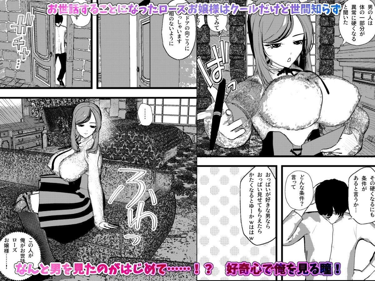 無表情クールなお嬢様は俺の事が大好きで献身的なSEXしてくれちゃうッ!のサンプル画像 1