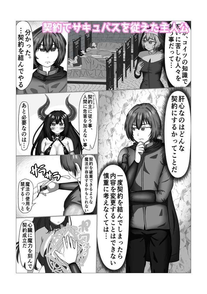 サキュバスを隷属させた俺 なぜか♀堕ちして主従逆転してしまうのサンプル画像 1
