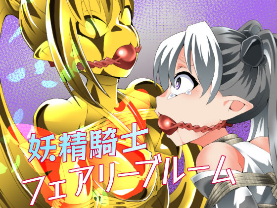 《d_800280》妖精騎士フェアリーブルーム第12話のパッケージ画像