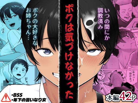 ボクは気づけなかったの商品画像