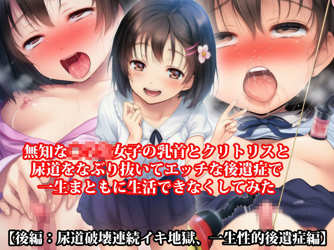 【三部作セット】『無知な◯◯◯女子の乳首とクリトリスと尿道をなぶり抜いてエッチな後遺症で一生まともに生活できなくしてみた』AIリマスター版 立ち読み 7 / 9