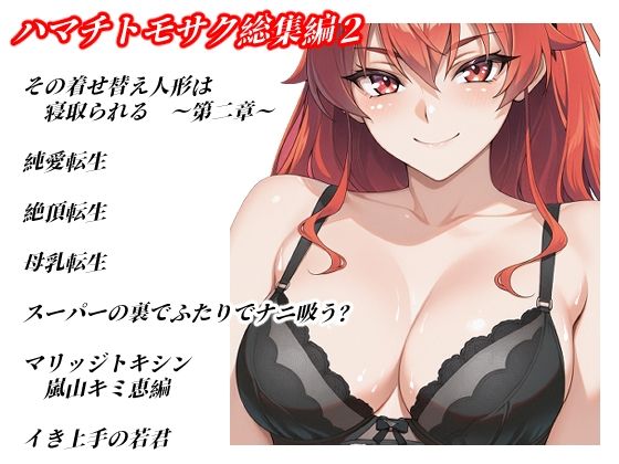 《d_804596》ハマチトモサク総集編2のパッケージ画像