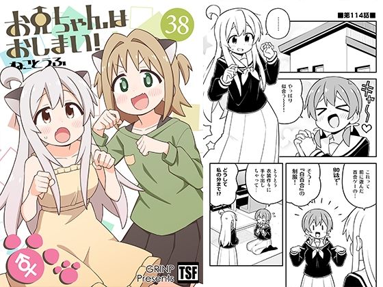 《d_806105》お兄ちゃんはおしまい！38のパッケージ画像