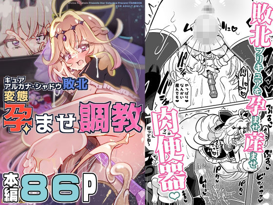 《d_806709》キュアアルカナ・シャドウ敗北変態孕ませ調教のパッケージ画像