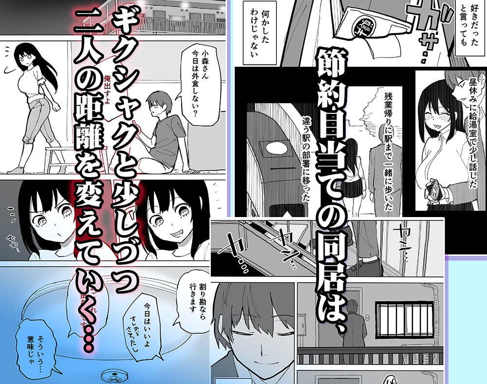 家賃を半分にしただけのサンプル画像 3