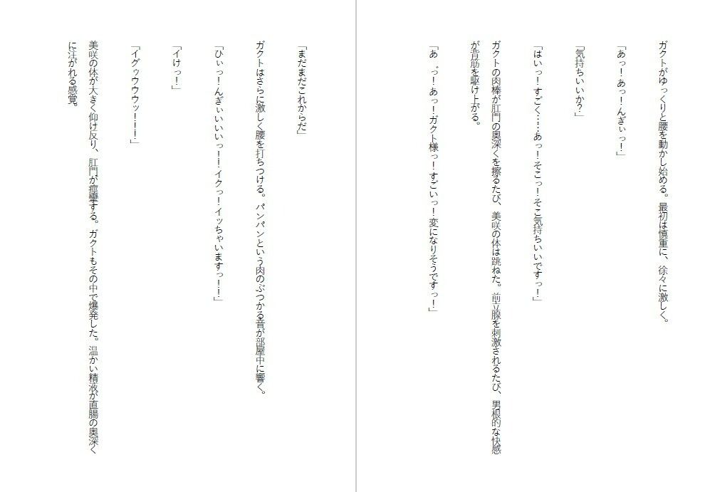 潔癖肉便器姫〜清楚な彼女は50人の男の前でアナルを広げた〜のサンプル画像 6
