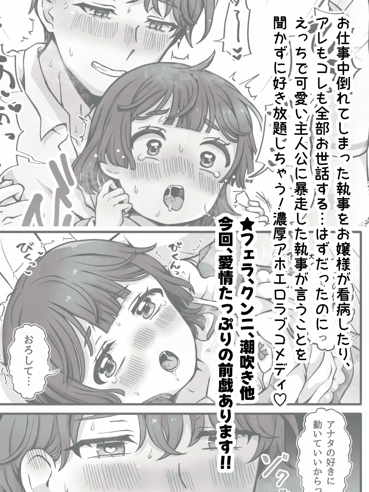 変態執事はお嬢様に首ったけ〜コスプレ看病編〜 立ち読み 10 / 10