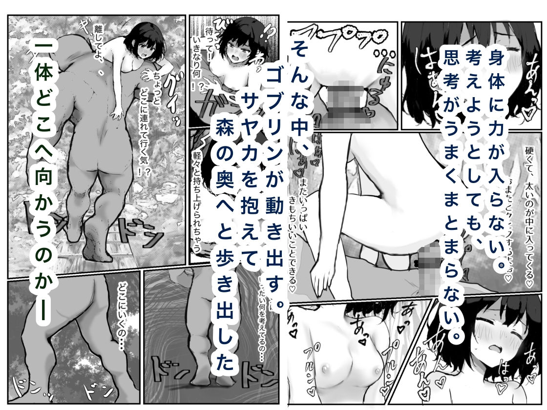 女騎士敗北録〜ゴブリンの森〜2の画像7