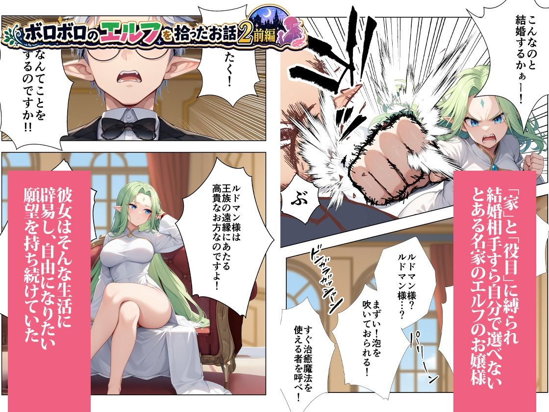 ボロボロのエルフを拾ったお話総集編のサンプル画像 4
