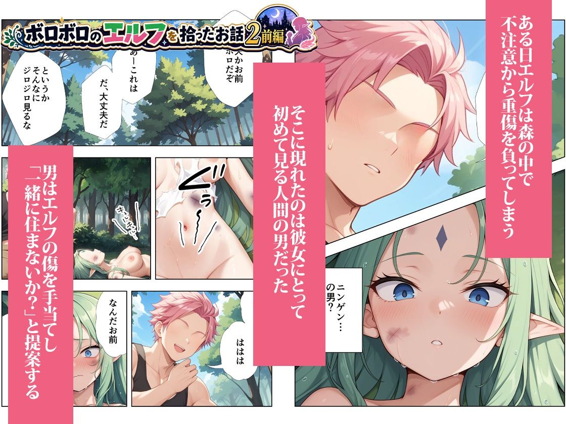 ボロボロのエルフを拾ったお話総集編のサンプル画像 5