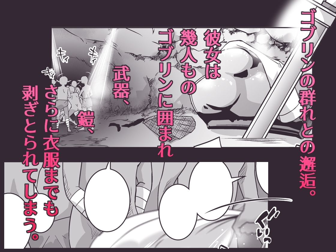 自儘なサキュバスと幻術の女勇者と… 画像3