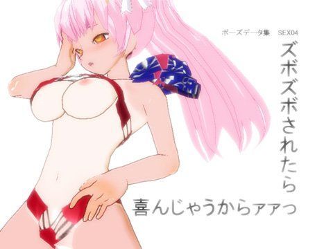 ポーズデーター集 SEX04 〜 ズボズボされたら喜んじゃうからァァっ 〜