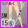 SM15(6)2B武器追加パッチ d_109766のパッケージ画像 SM15(6)2B武器追加パッチ d_109766のパッケージ画像