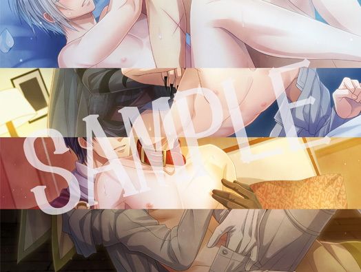 IRIS-豪雪の王-Coda.R18ファンディスク画像no.1