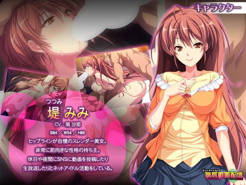 サンプル画像1:ネットアイドルの恥辱動画配信～ファンとのハメられ淫乱交流～ [作品ID:d_127201]