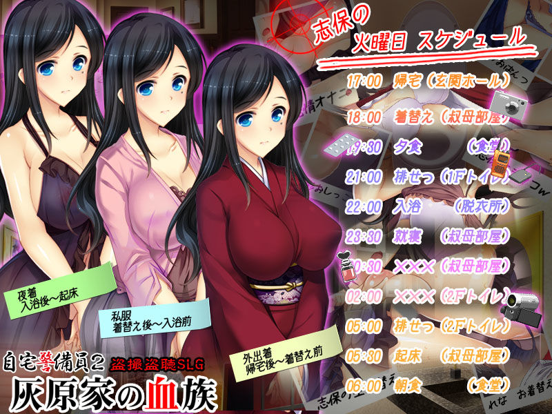 サンプル画像2:自宅警備員2(ベルゼブブ) [d_129868]