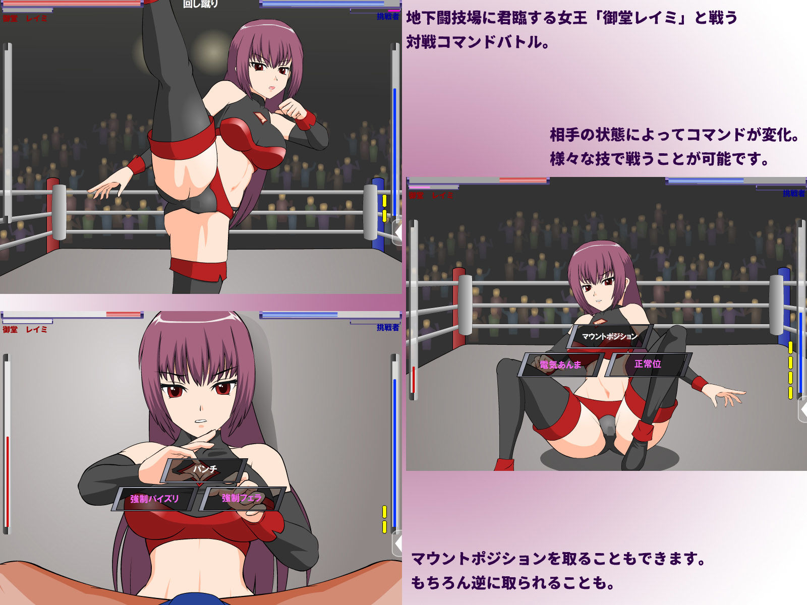 サンプル画像1:闘技女王レイミ [作品ID:d_132347]