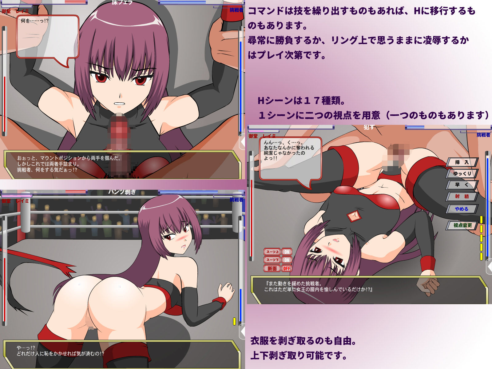 サンプル画像2:闘技女王レイミ [作品ID:d_132347]