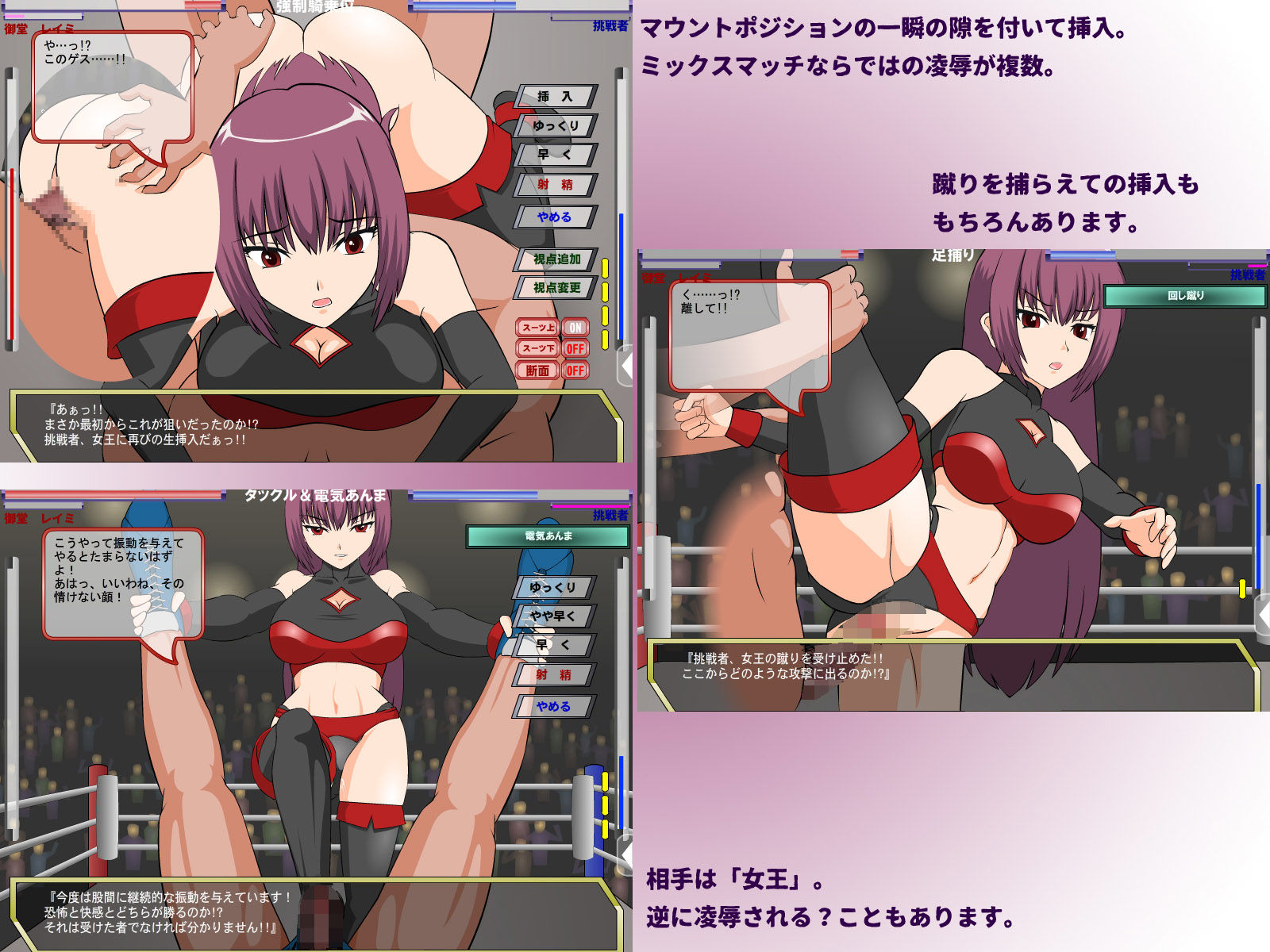 闘技女王レイミ画像no.3