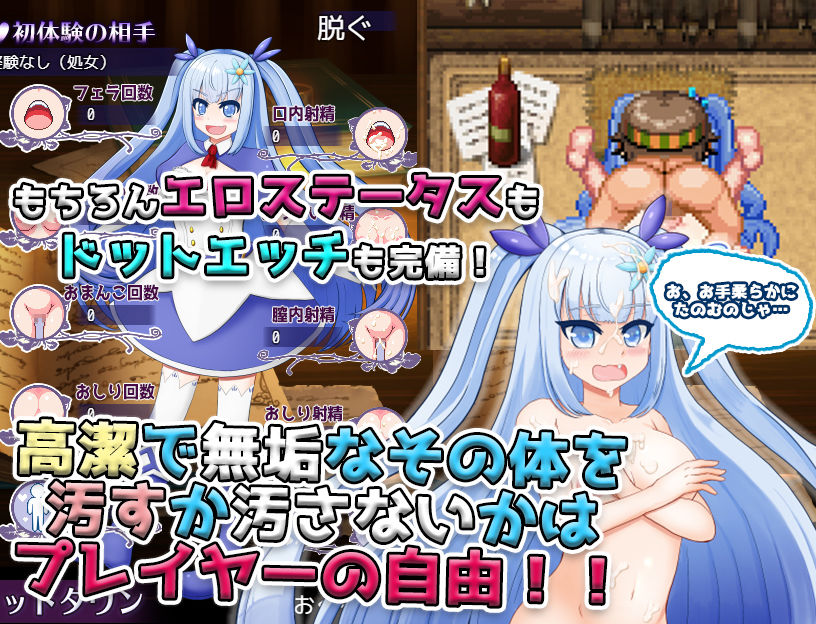 無知っ娘イルヴィナ〜盗まれた王家への献上品〜