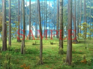 サンプル画像3:著作権フリー背景CG素材集VOL.21 (キュキュキュのQのQ) [d_134574]