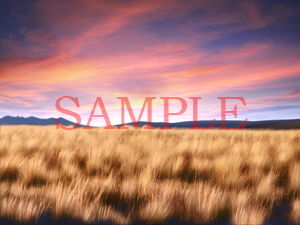 サンプル画像3:著作権フリー背景素材「アパート外観」(キュキュキュのQのQ) [d_136663]