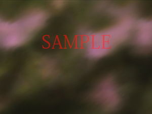 サンプル画像3:著作権フリー背景CG素材「テニスコート」(キュキュキュのQのQ) [d_138621]