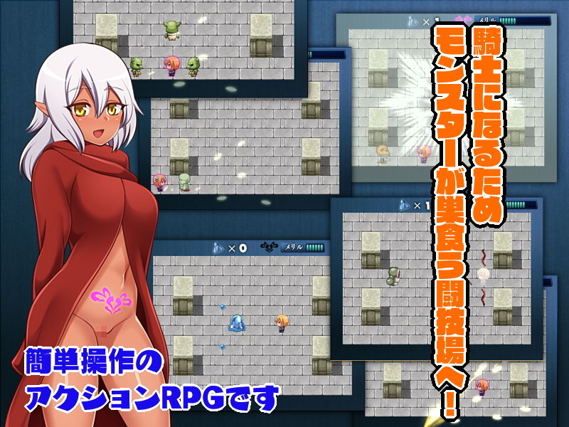 女騎士を目指して画像no.2