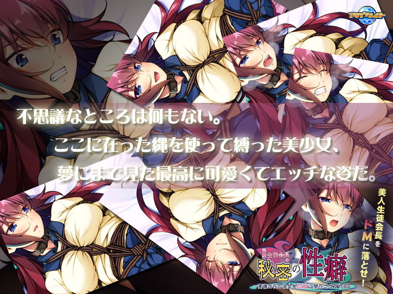 サンプル画像2:完璧生徒会長の秘密の性癖～高嶺の花の彼女をM女に開花させてやる～(アパタイト) [d_146004]