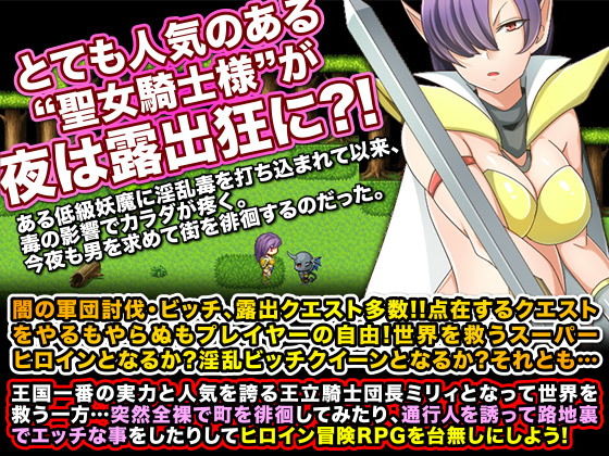 可憐なる聖女騎士様が露出したりで冒険させないRPG画像no.1