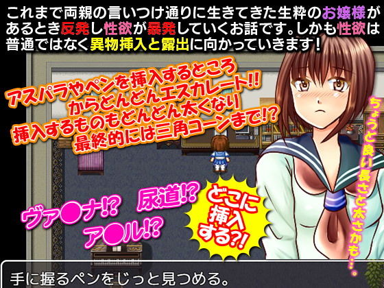 サンプル画像1:露出拡張deごきげんよう お嬢様は挿入露出マニア(ISAMI) [d_148912]