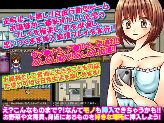 サンプル画像5:露出拡張deごきげんよう お嬢様は挿入露出マニア(ISAMI) [d_148912]