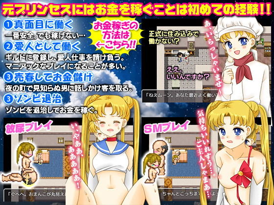 サンプル画像4:プリンセスから一転、私ホームレスになりましたW(RELICS) [d_148919]