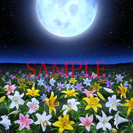 サンプル画像1:著作権フリー背景CG素材「ゆりの野原とゆり素材」(キュキュキュのQのQ) [d_149146]