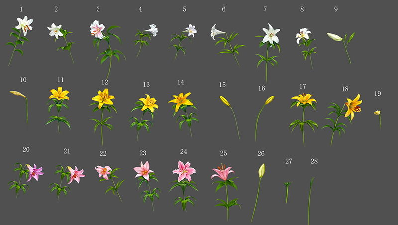 サンプル画像2:著作権フリー背景CG素材「ゆりの野原とゆり素材」(キュキュキュのQのQ) [d_149146]