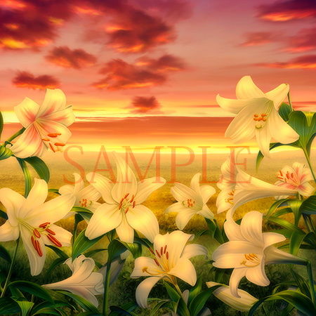 サンプル画像3:著作権フリー背景CG素材「ゆりの野原とゆり素材」(キュキュキュのQのQ) [d_149146]