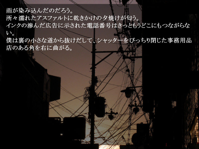 サンプル画像3:等間隔の黒い透明(羊おじさん倶楽部) [d_154365]