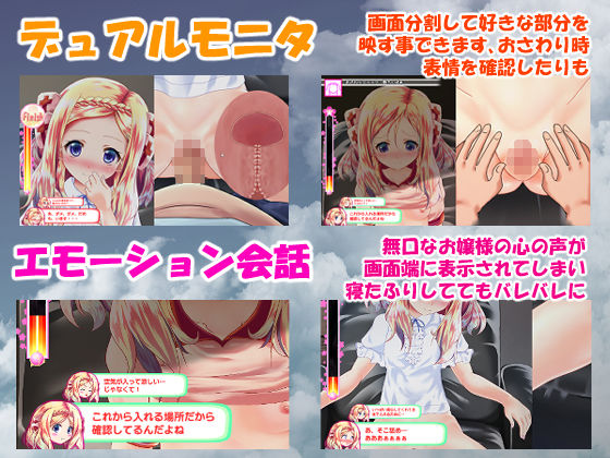 サンプル画像2:お嬢様とのおさわり会(ほぷほぷチーム) [d_156486]