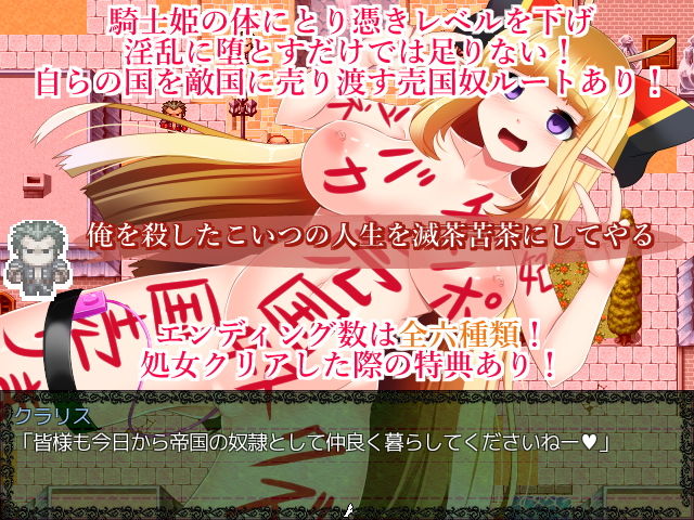 サンプル画像5:騎士姫クラリス(サークル☆フェアリーフラワー) [d_159181]