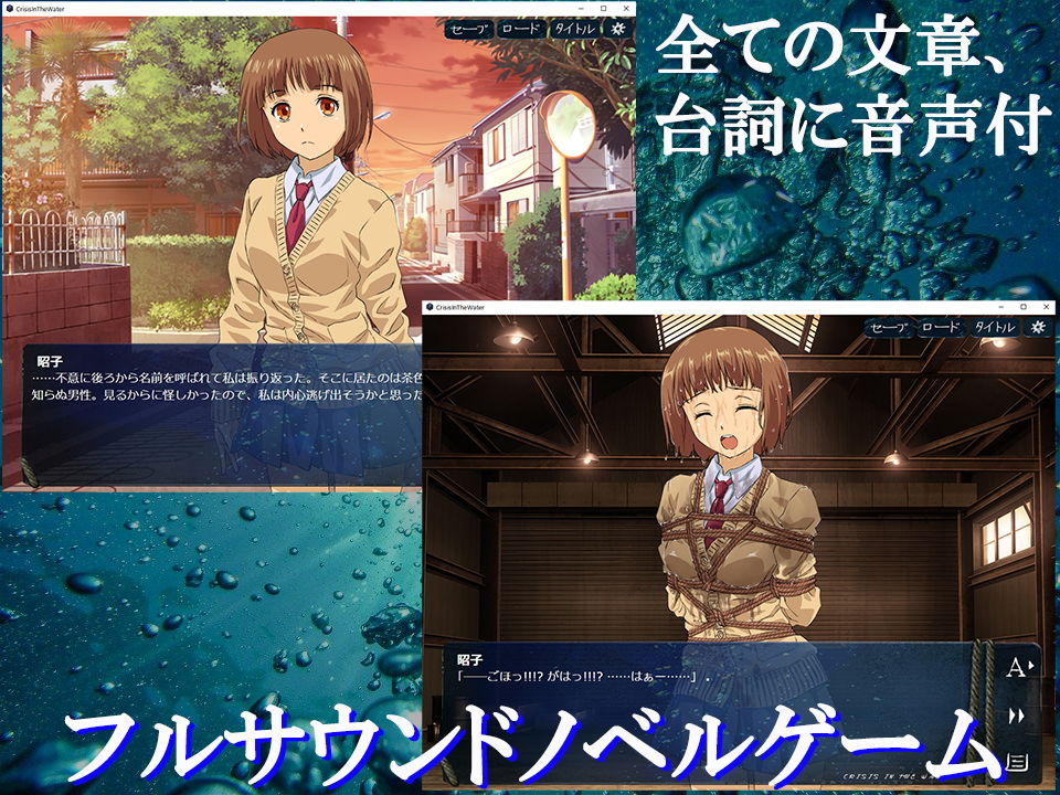 サンプル画像2:クライシス・イン・ザ・ウォーター Windows版(夢かき屋) [d_179753]