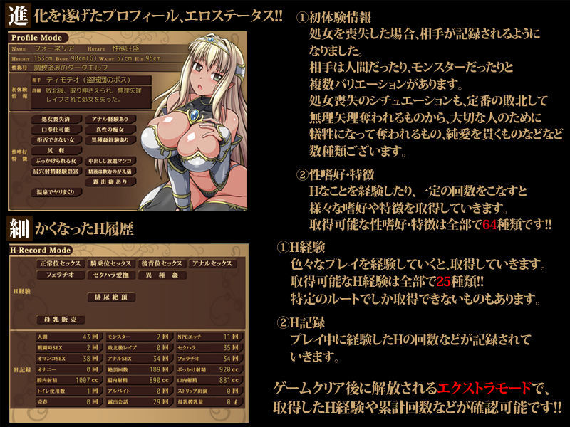 サンプル画像6:略奪者とダークエルフのディストピア マルチエンディングRPGパック(ONEONE1) [d_182565]