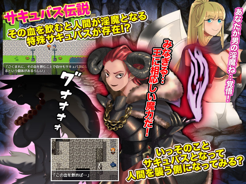 サンプル画像4:サキュバスを狩って成り上がろう！(第七飛行中隊（紫電改）) [d_186052]