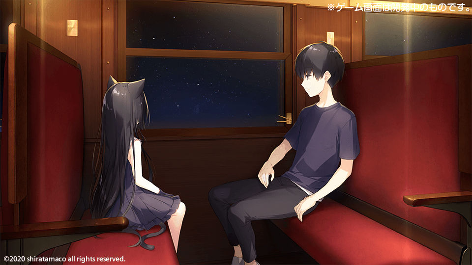 サンプル画像1:星空鉄道とシロの旅(しらたまこ) [d_186489]