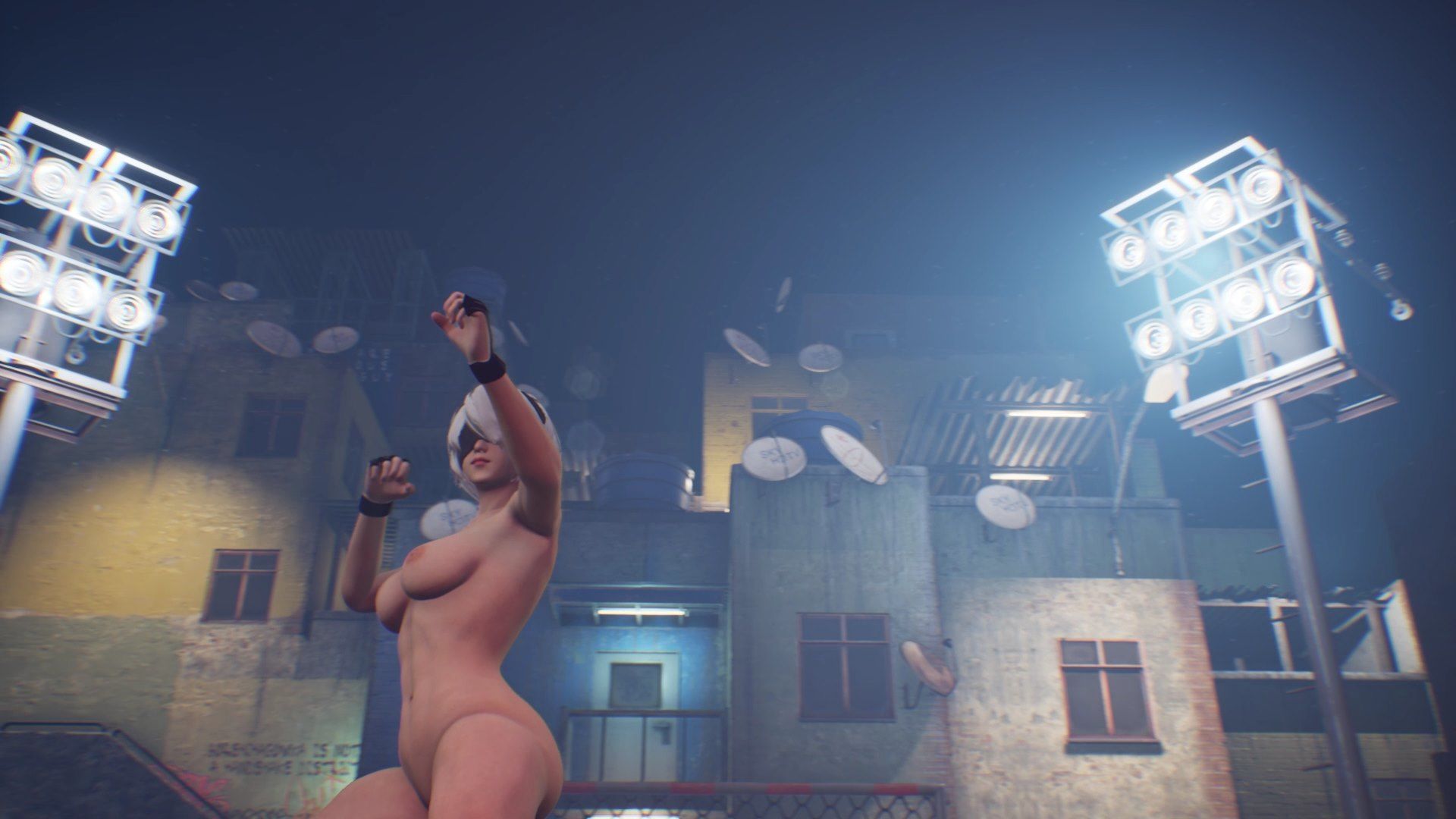 サンプル画像1:全裸ファイター360°(AOG Project) [d_186826]